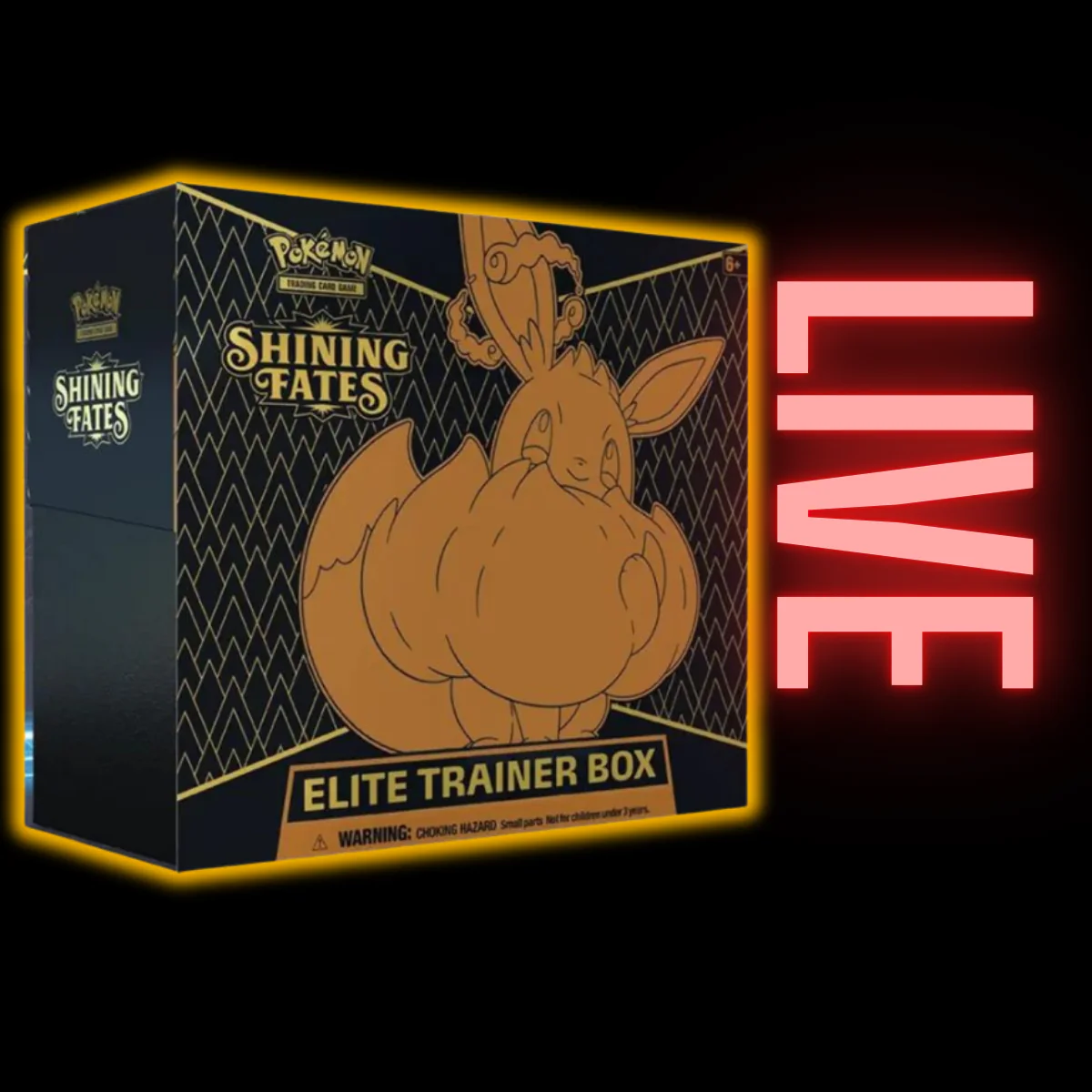 Shining Fates Elite Trainer Box (LIVE)